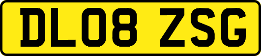 DL08ZSG