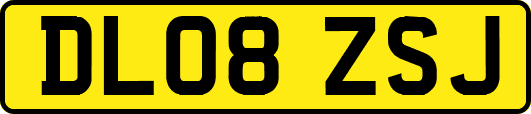 DL08ZSJ