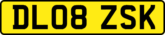 DL08ZSK