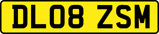 DL08ZSM