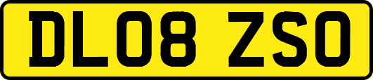 DL08ZSO