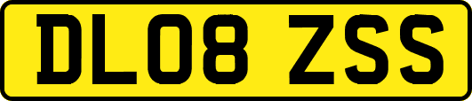 DL08ZSS