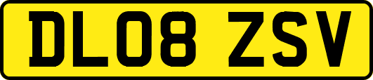 DL08ZSV