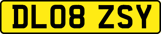 DL08ZSY
