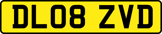 DL08ZVD