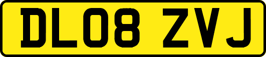DL08ZVJ