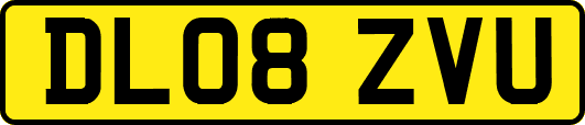 DL08ZVU