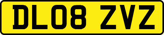 DL08ZVZ