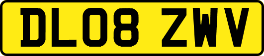 DL08ZWV