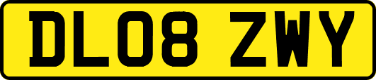 DL08ZWY