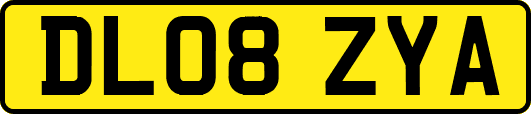 DL08ZYA