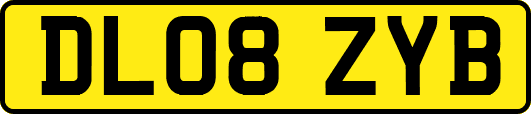 DL08ZYB
