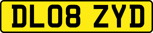 DL08ZYD