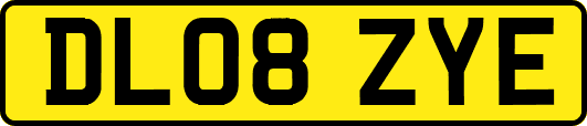 DL08ZYE