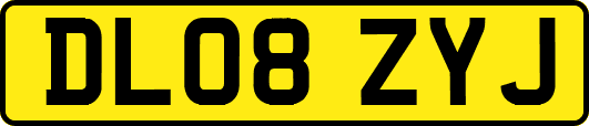 DL08ZYJ