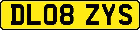 DL08ZYS
