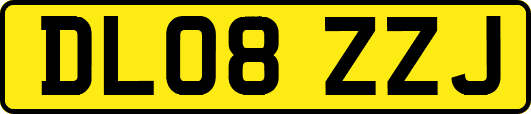 DL08ZZJ