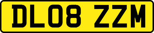 DL08ZZM