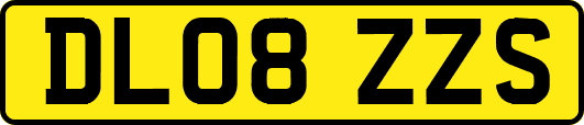 DL08ZZS