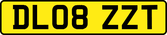 DL08ZZT