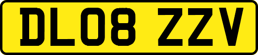 DL08ZZV