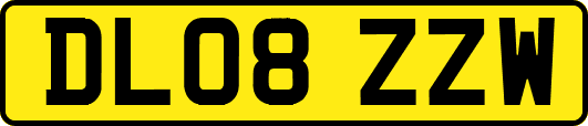 DL08ZZW