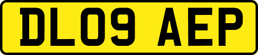 DL09AEP