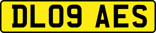DL09AES