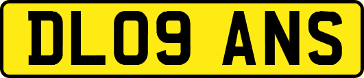 DL09ANS