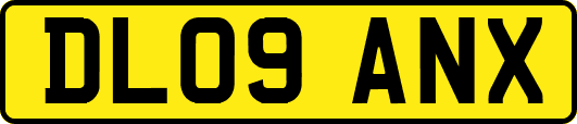 DL09ANX