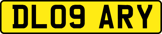 DL09ARY