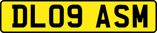 DL09ASM