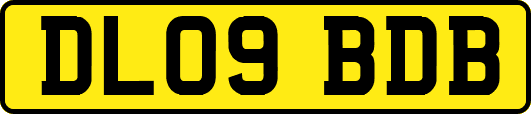 DL09BDB