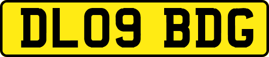 DL09BDG