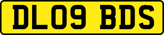 DL09BDS
