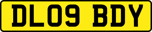 DL09BDY