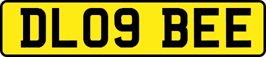 DL09BEE