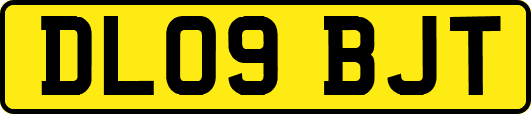 DL09BJT