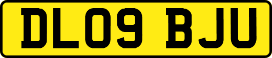 DL09BJU