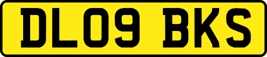 DL09BKS