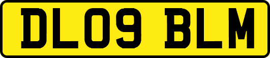 DL09BLM