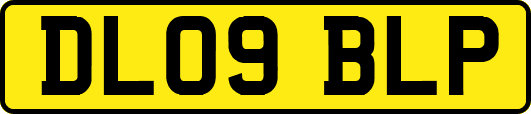 DL09BLP