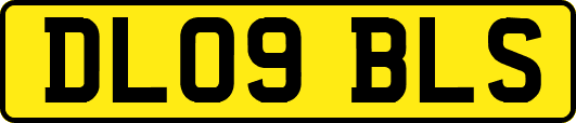 DL09BLS