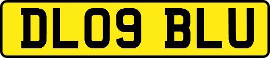 DL09BLU