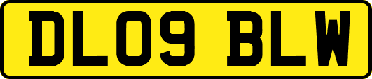 DL09BLW