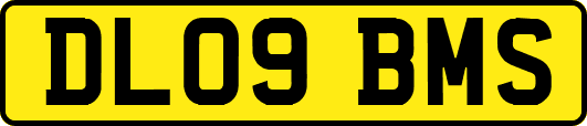 DL09BMS