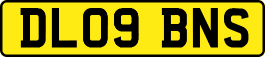 DL09BNS