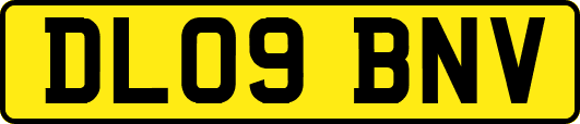 DL09BNV