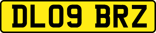 DL09BRZ