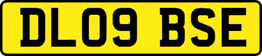 DL09BSE